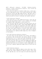 2024년 2학기 교육심리학 중간시험과제물 공통(가드너 다중지능, 콜버그 도덕성 발달단계)-5