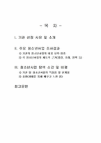 2024년 2학기 청소년육성제도론 중간시험과제물 공통(청소년복지시설 탐색보고서)-2