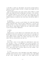 2025년 1학기 교육평가 중간시험과제물 A형(가설검정의 개념과 사례)-5
