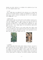 2025년 1학기 식물의학 중간시험과제물 A형(식물병 발병의 세가지 요인)-5