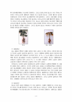 2025년 1학기 식물의학 중간시험과제물 B형(제초제의 처리 형태에 따른 분류)-4