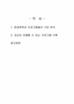 2025년 1학기 학교교육과청소년 중간시험과제물 공통(방과후학교 프로그램 분석)-2