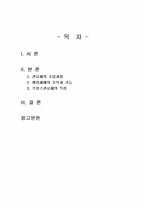 2025년 1학기 비교행정론 기말시험 과제물2(프랑스의 행정체제)-2