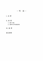 2026년 1학기 국제경영학 중간시험과제물 공통(글로벌 기업의 인적자원 관리 성공 사례)-2
