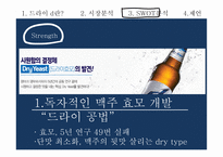 하이트진로 마케팅 하이트진로 주류시장 하이트진로 경영전략 국내 맥주시장 타사 분석_경쟁상황-16