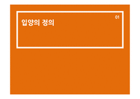 입양 입양의정의 입양정책 국내입양정책 외국의입양정책 입양정책의개선방안 입양의현황 입양의목적과유형-3