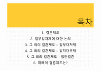 아내가결혼했다 일부일처에대한논의 결혼제도 일처다부제 일부다처제 미래의결혼제도 집단결혼-2