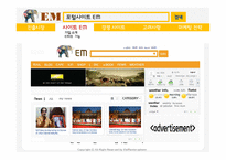 진출시장소개 포털 사이트 EM 경쟁 포털 사이트 인도의 스마트폰 EM의 기능 SWOT 분석글로벌 마케팅-12