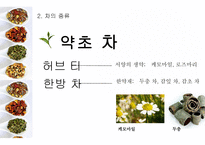 차의 정의 차의 종류 차 음용 방법 차의 효능 녹차 홍차 보이차 우롱차-7