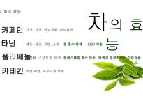 차의 정의 차의 종류 차 음용 방법 차의 효능 녹차 홍차 보이차 우롱차-13