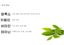 차의 정의 차의 종류 차 음용 방법 차의 효능 녹차 홍차 보이차 우롱차-14