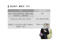 성 소수자 정의 동성애자 트랜스젠더 동성애 인식변화 대중문화 성 소수자 동성애 찬반 논쟁-17