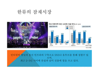 관광마케팅 한류 관광 한류의 개념 한류의 변천사 한류의 현황 한류의 정책과 트랜드-10