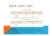 관광마케팅 한류 관광 한류의 개념 한류의 변천사 한류의 현황 한류의 정책과 트랜드-12