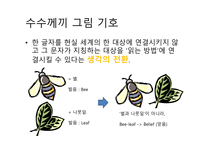 커뮤니케이션 양상 이집트의 상형문자 그리스 알파벳 표음 문자로의 발달-7