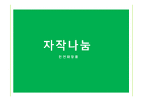 천연화장품 마케팅 사회서비스 국내화장품 중국화장품 시장 중국시장 진출-1