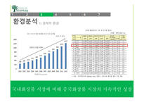 천연화장품 마케팅 사회서비스 국내화장품 중국화장품 시장 중국시장 진출-8
