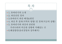 유바리시파산사례 유바리시파산배경 파산후결과및경과 파산선언경과 유바리시의소개-2