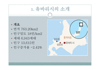 유바리시파산사례 유바리시파산배경 파산후결과및경과 파산선언경과 유바리시의소개-3