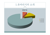 유바리시파산사례 유바리시파산배경 파산후결과및경과 파산선언경과 유바리시의소개-5
