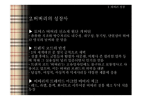 BURBERRY 버버리 버버리성장사 버버리의해외진출 버버리코리아 버버리SWOT분석 버버리4P분석-5