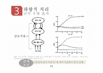 상향적 처리 하향적 처리 RBC이론 단어 우월 효과 게슈탈트 법칙 행동 분석 연구 감정 유발 연구-11