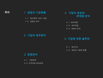 신한카드 신한카드재무분석 신한카드기업전략 신한카드인적자원관리전략 체크카드 SWOT분석 기업의목표와문제점분석-2