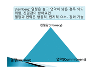 부부관계와 성적 친밀감 성기능 장애 성적 적응 결혼만족도 결혼유형별 성행동 성 반응 성기능-17