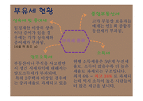 부자들만의 세금 부유세 개념 부유세현황 부유세의 효과 세계의 부유세 부유세의 한계-7