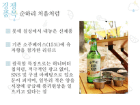 해외시장조사론 국순당  아이싱 국순당 마케팅 국순당 사례 국순당 분석-10