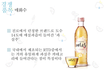 해외시장조사론 국순당  아이싱 국순당 마케팅 국순당 사례 국순당 분석-12