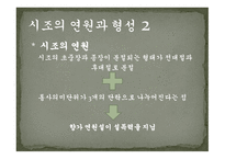 시조의 개념 시조의 명칭 시조의 연원과 형성 시조의 율격과 구조시조의 문학적 분류-6