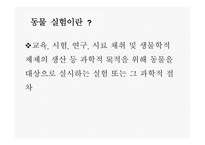 인간과 윤리 동물실험에 대한 찬성과 반대 동물 실험이란 동물실험 찬성 동물실험 반대-3