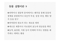 인간과 윤리 동물실험에 대한 찬성과 반대 동물 실험이란 동물실험 찬성 동물실험 반대-4