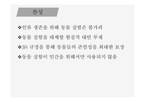 인간과 윤리 동물실험에 대한 찬성과 반대 동물 실험이란 동물실험 찬성 동물실험 반대-8