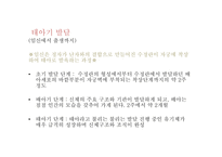 발달심리학 태아기발달과유아기 Piaget의인지발달이론 VYGOTSKY Kohlberg의 도덕적 추론 이론 Erikson의 심리사회적 발달이론-4