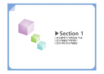 탄소배출권거래제 탄소문제가 대두되는 이유 탄소배출권거래제란 탄소세와 탄소배출권-3