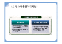 탄소배출권거래제 탄소문제가 대두되는 이유 탄소배출권거래제란 탄소세와 탄소배출권-7
