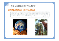 탄소배출권거래제 탄소문제가 대두되는 이유 탄소배출권거래제란 탄소세와 탄소배출권-17