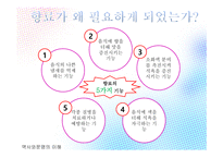 역사와문명의 이해 향료전쟁 향료란 향신료 신항로 개척 인도항로 바스코 다가마 아메리카 항로 상업혁명-4