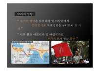 SNS영향 SNS 사례 SNS페이스북 SNS 스마트폰 Twitter Facebook 페이스북 트위터-5