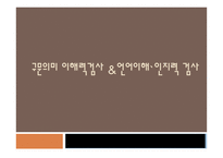구문의미 이해력 언어이해`인지력 아동의 구문의미 이해력 표준화과정 언어이해력-1