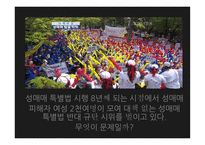 성매매 합법화 성매매 제도 성매매 제도의 실태 성매매 제도 성매매 제도의 실태-4