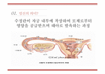 사랑과피임 피임 임신의의미 피임의미 피임의중요성 남성피임법 여성피임법-4