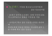 학교 구강 보건 학교 구강 보건의 개념 공중구강보건사업 학교 구강 보건조직 학교 보건인력-15