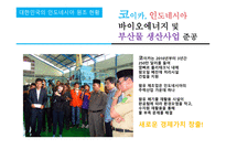 인도네시아 한국과 인도네시아 인도네시아 지원 국가 인도네시아의 정세 인도네시아의 경제 코이카 인도네시아 바이오에너지-13