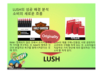 LUSH 러쉬 SWOT분석 STP분석 러쉬만의차별성 러쉬만의경쟁력과성과정리 경쟁사와의 비교를 통한 러쉬의 CSR 마케팅 사례-6