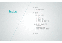 장애인 이동권 장애인 접근권 장애인 대중교통 정보접근권 교통약자의 이동편 장애인 이동권 연대-2