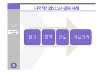 다국적 기업 노사관계 다국적 기업의 노동 다국적 기업의 노사갈등 선진 노사관계 사례-12
