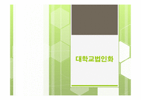 대학교법인화 국립대 법인화 국립대 법인화 배경 국립대 법인화 장단점-1